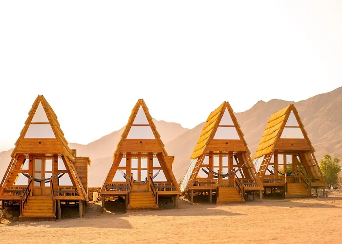Aladdin Camp